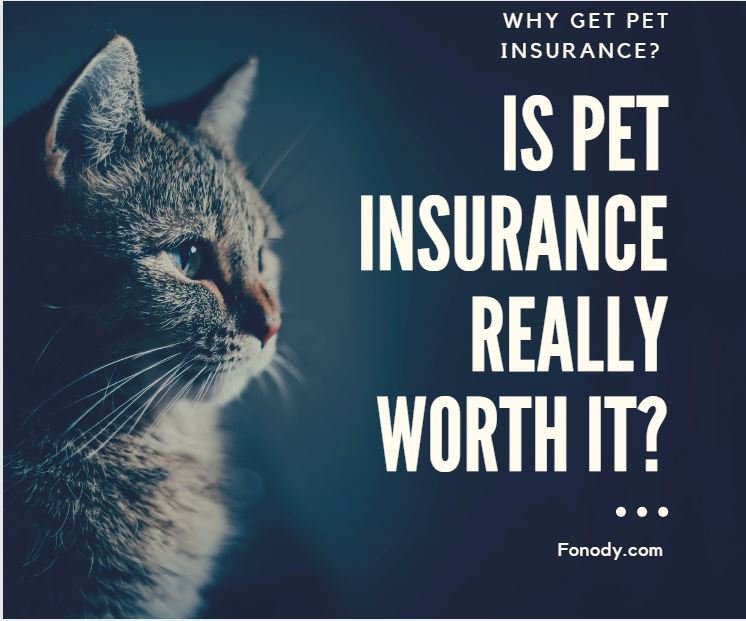 why get pet insurance