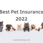 Best Pet Insurance 2022