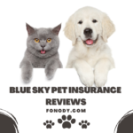 Blue Sky Pet Insurance Reviews