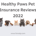 Healthy Paws Pet Insurance Reviews 2022