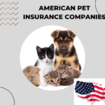 List Of American Pet Insurance Companies