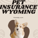 Pet Insurance Wyoming
